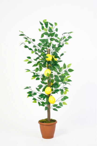 Yapay Limon Ağacı 150cm