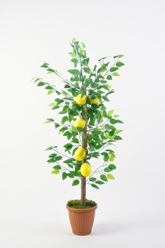 Saksıda Yapay Limon Ağacı