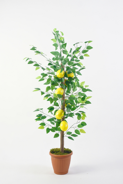 Saksıda Yapay Limon Ağacı