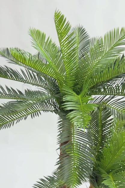 Yapay 2 Gövdeli Sikas(Cycas) Ağacı