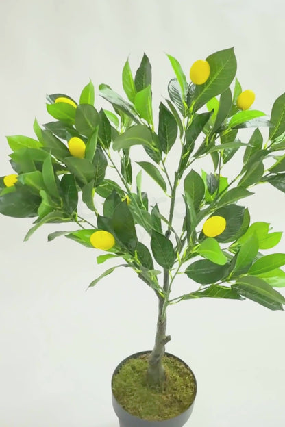 Yapay Limon Ağacı 120cm