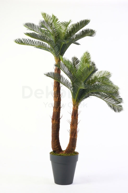 Yapay 2 Gövdeli Sikas(Cycas) Ağacı