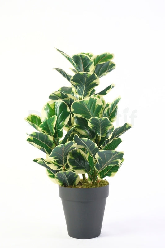 Yapay Alacali Kaucuk 80cm