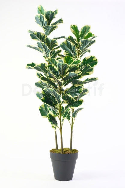 Yapay Alacalı Kauçuk Ağacı 140cm