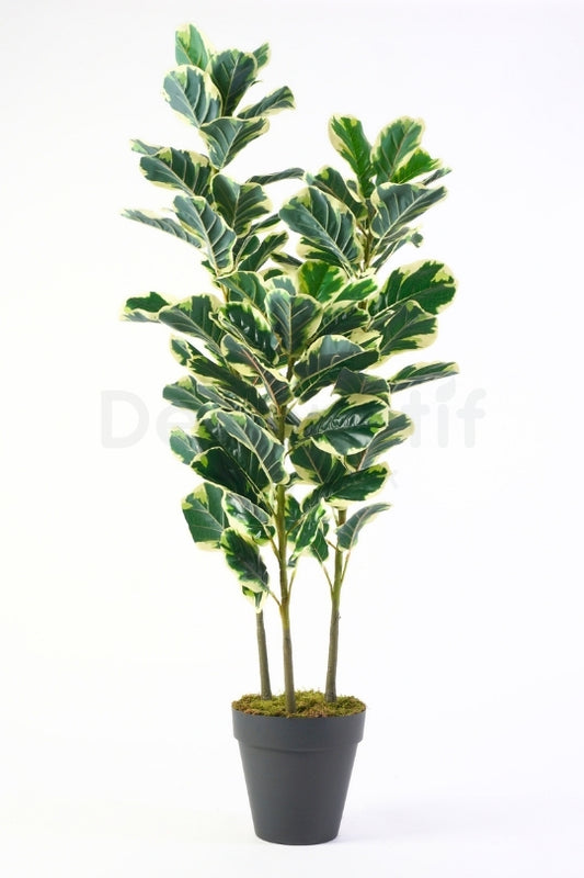 Yapay Alacalı Kauçuk Ağacı 140cm