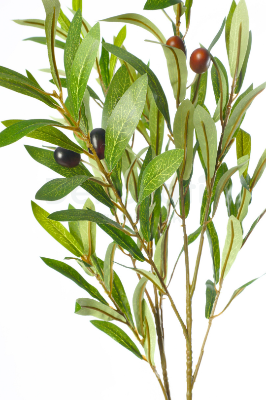 Yapay Zeytin Dalı